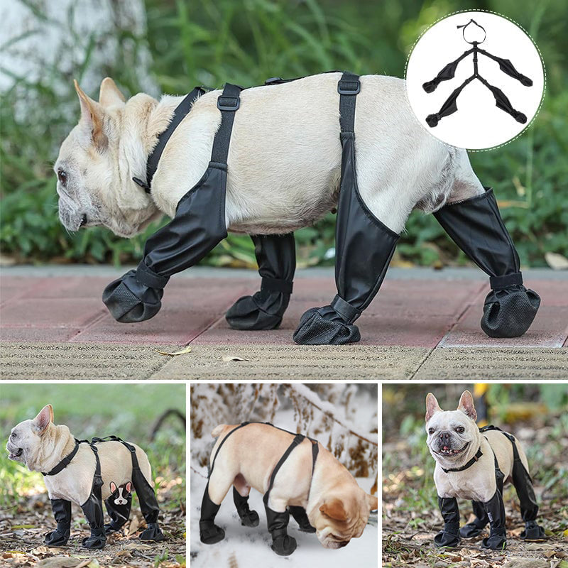 Waterproof tights for pets❤️New Year Hot sale🚛
