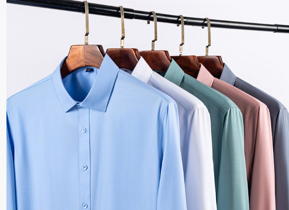 🔥LAST DAY PROMOTION - 50%OFF🔥Men's Wrinkle-Free Button-Down Shirt