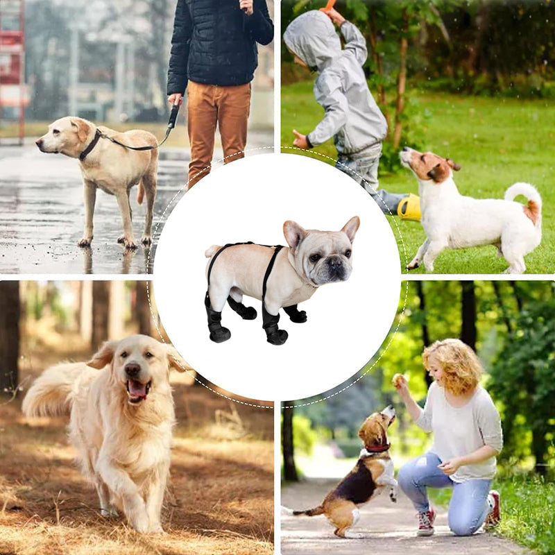 Waterproof tights for pets❤️New Year Hot sale🚛