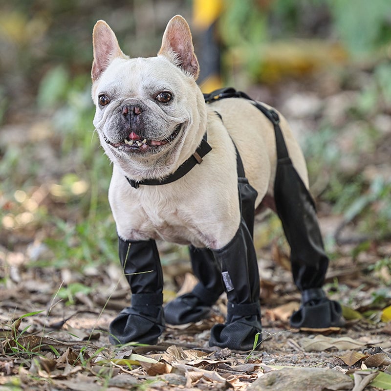 Waterproof tights for pets❤️New Year Hot sale🚛