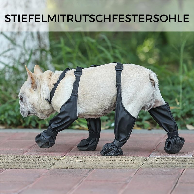 Waterproof tights for pets❤️New Year Hot sale🚛
