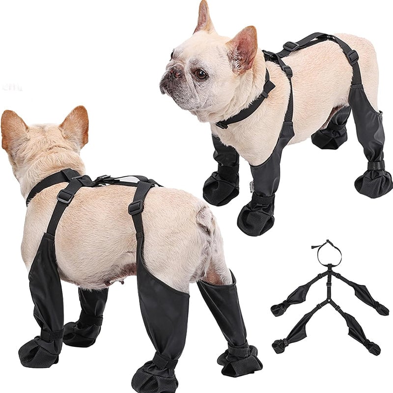 Waterproof tights for pets❤️New Year Hot sale🚛