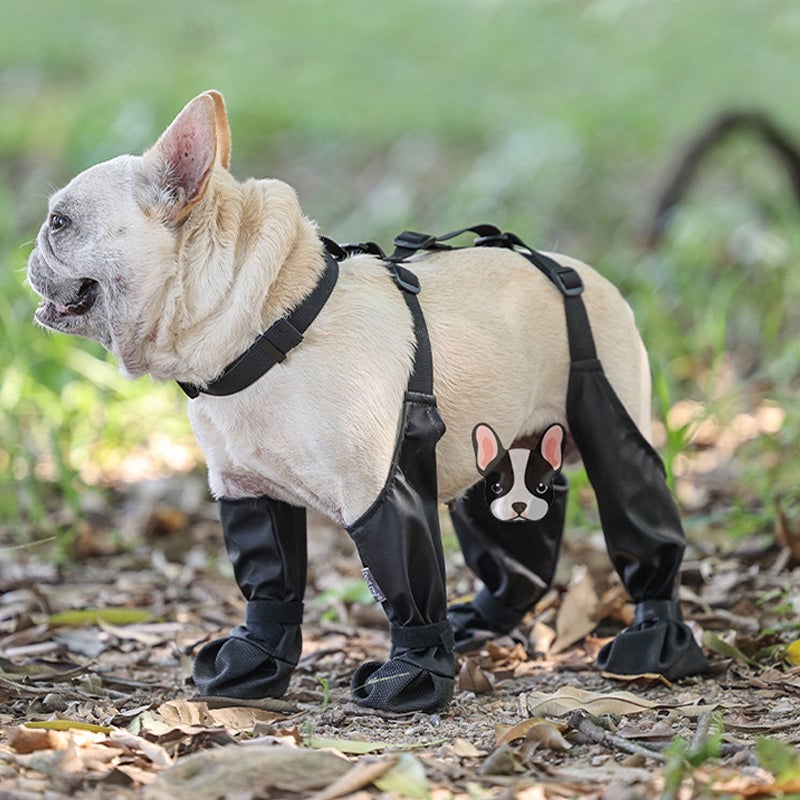Waterproof tights for pets❤️New Year Hot sale🚛