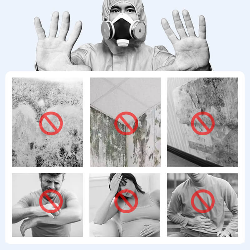 Mold mildew remover spray