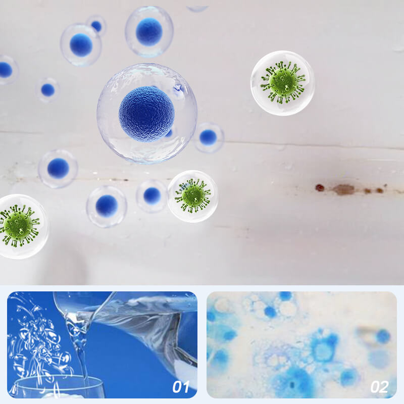 Mold mildew remover spray