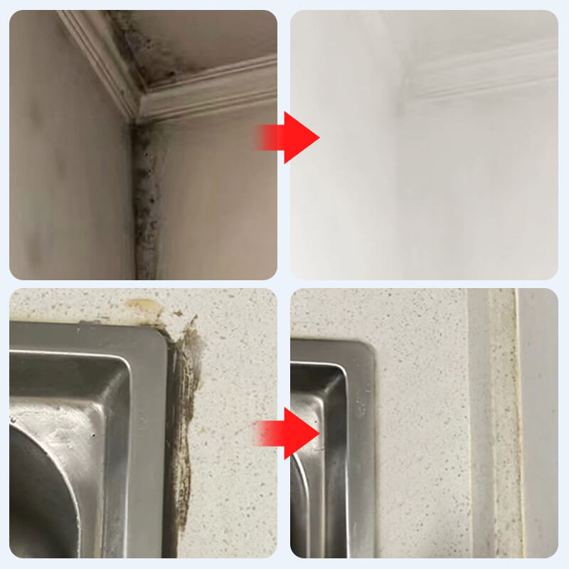 Mold mildew remover spray