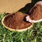 🔥Best Selling Gardening Soil🔥Organic Coconut Coir for Plants